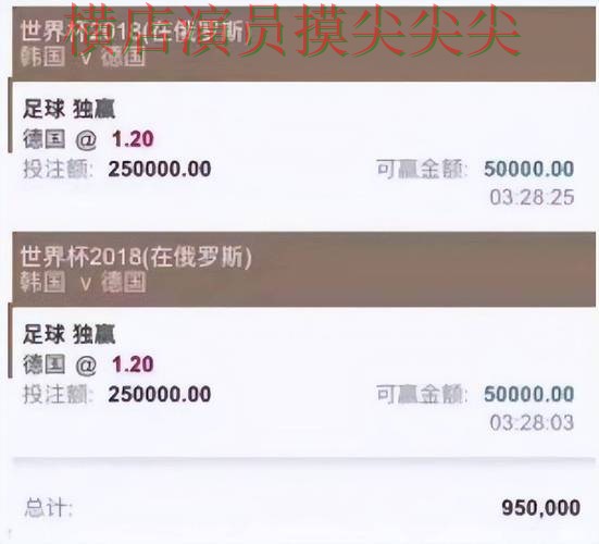 汇总世界杯投注平台合集：从访问方式到使用全流程解析 - 世界杯全球总决赛
